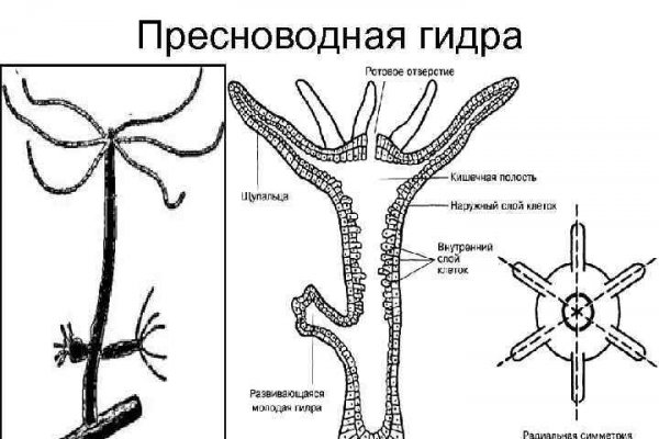 Ссылка на кракен в браузере