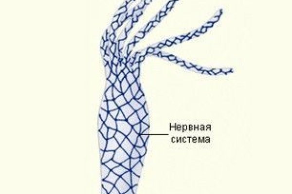 Кракен даркнет ссылка kraken link24 info