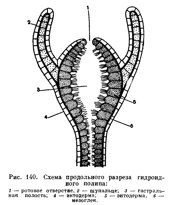 Кракен сайт kr2web